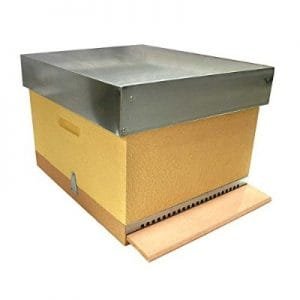 Camara de cría abejas