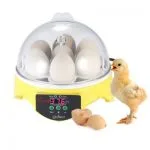 Incubadora de 7 huevos