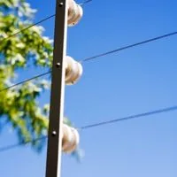 pastores electricos para caballos