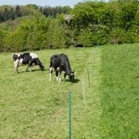 cerco electrico animales