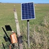 pastor electrico solar