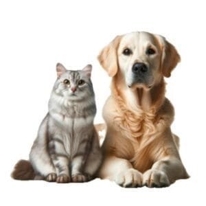 Accesorios para mascotas