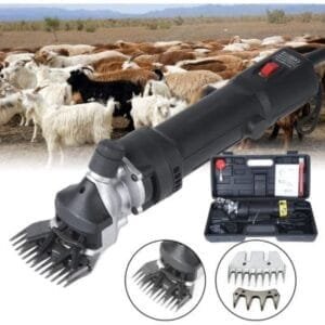 Esquiladora de ovejas