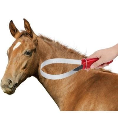 Rascador para caballos