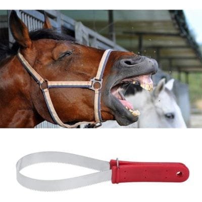Rascador de pelo para caballo