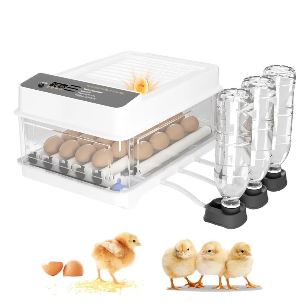 Incubadora de 10-36 Huevos con Volteo Automático